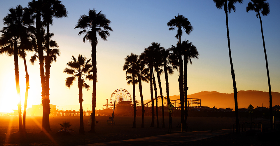 View of the Santa Monica pier.