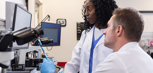 Two lab technicians analyzing data. 