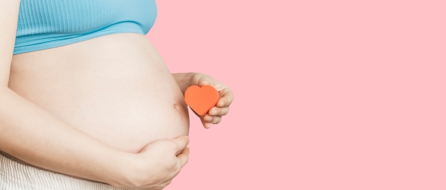 A pregnant woman holds a small red heart in her hands. The concept of motherhood, fertility, new life. Banner