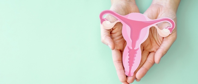Female hands holding pink, white and beige cut-out diagram of female productive system against a pale green background.