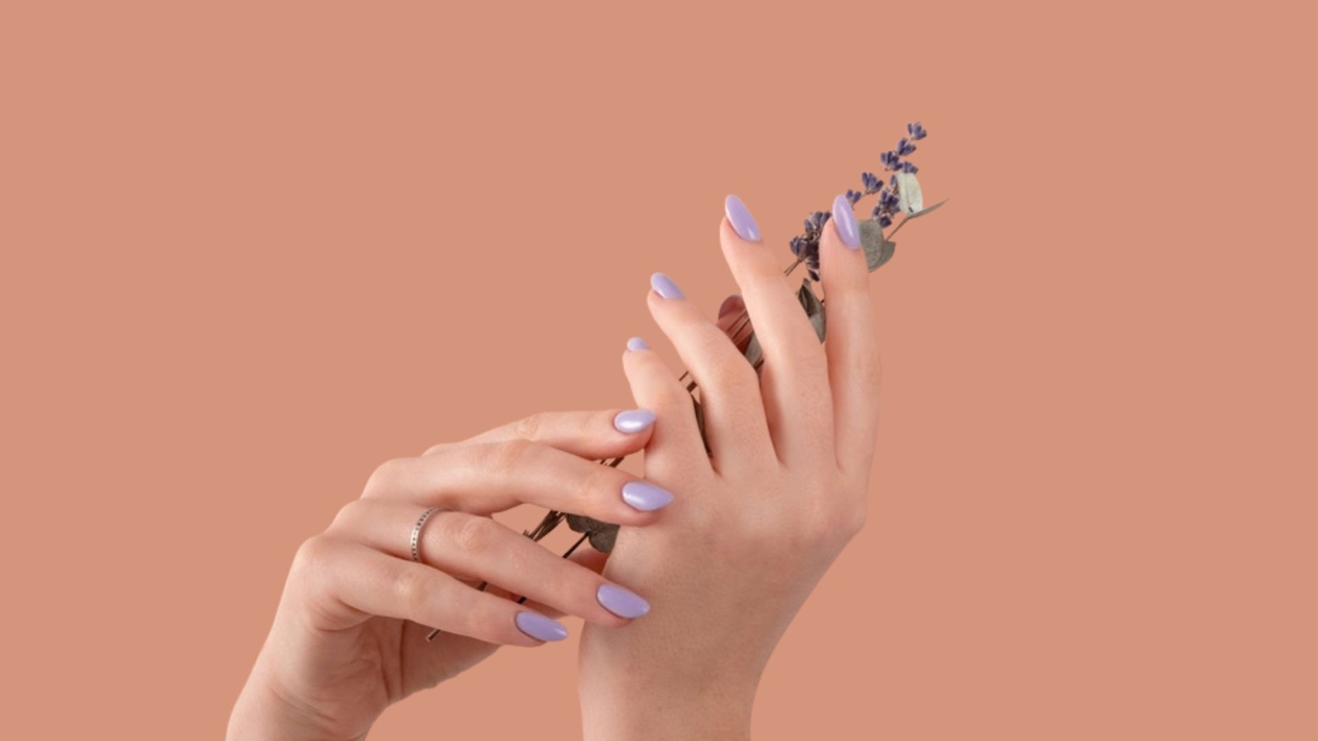 Female hands with painted purple fingernails holding lavender sprig against dark peach background.