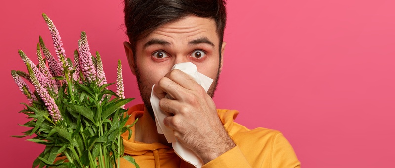 Unhealthy young man has blockage, blows nose, suffers from allergy symptoms, covers nose with handkerchief, has swelling red eyes, sneezes after smelling exotic plant.