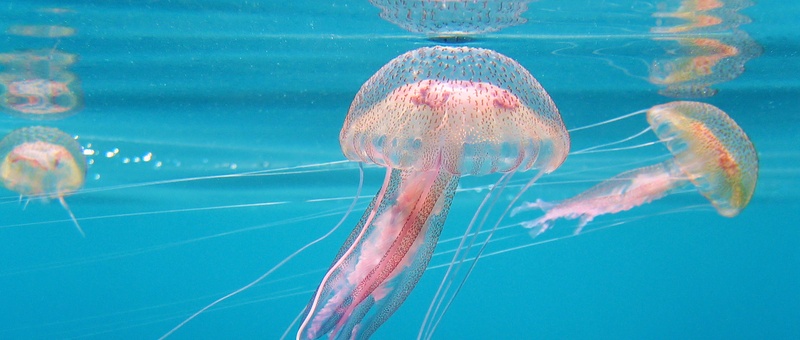 What is somatic exercise? Exploring the mind-body connection