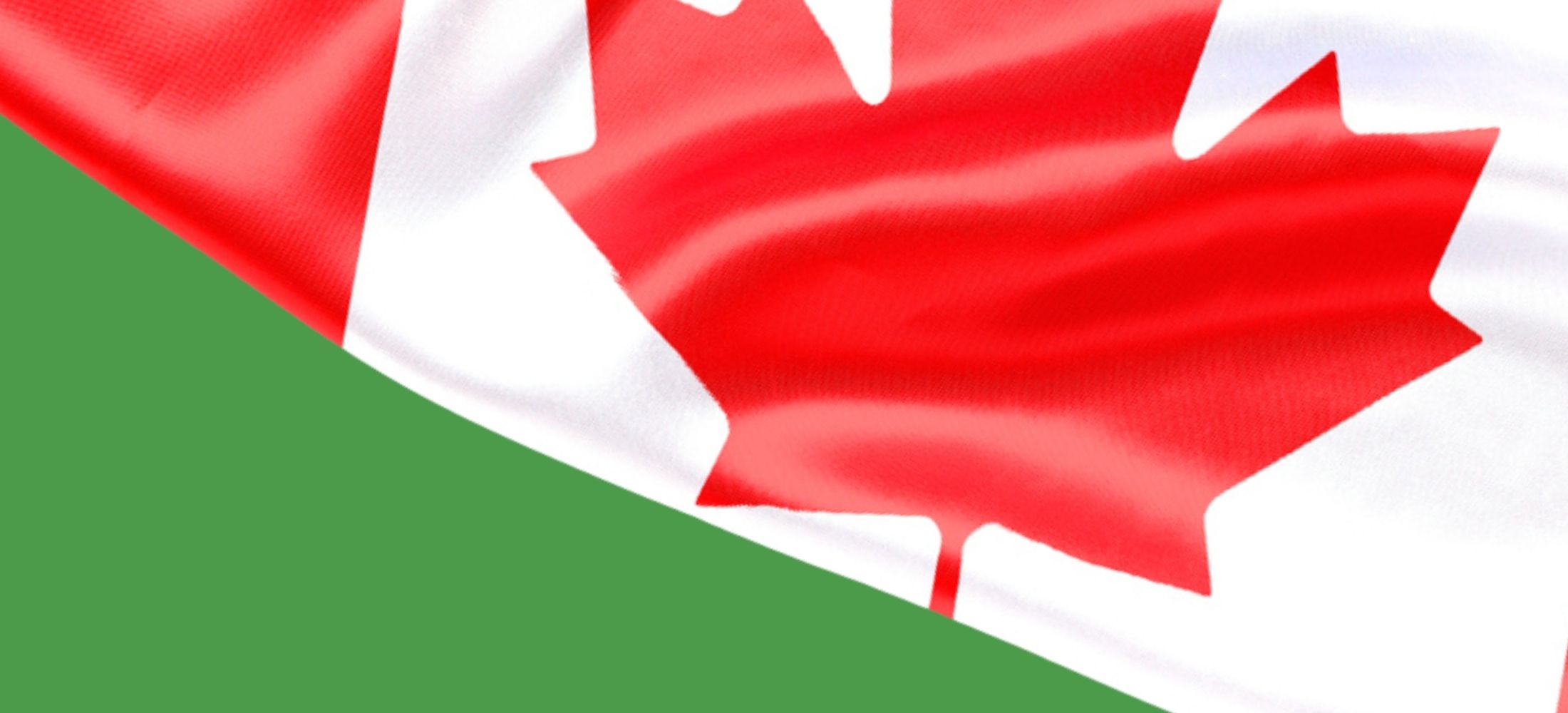 Canadian flag against green background.