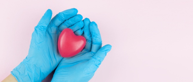 Hands wearing blue surgical gloves holding red heart against pink background.