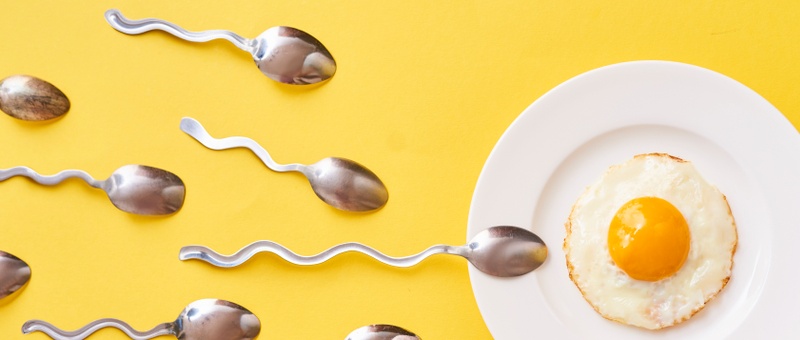 Conception of fertilisation. Fried egg on white plate, and silver spoons resembling sperm floating to ovule against a yellow background.
