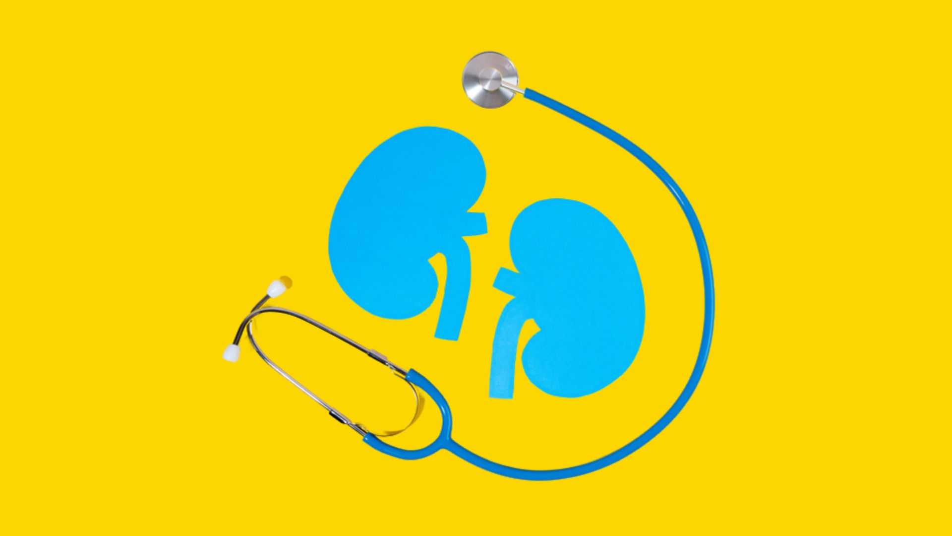 Blue paper cut out kidneys and stethoscope against a bright yellow background.