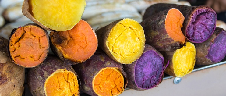 Is the Okinawa diet a recipe for longevity?