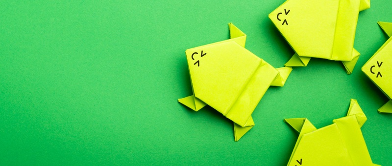 Group of origami green paper frogs isolated on green background.