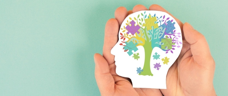 Cut-out head of child with colourful jigsaw or puzzle pieces with tree detail resting in open palms against a green background.