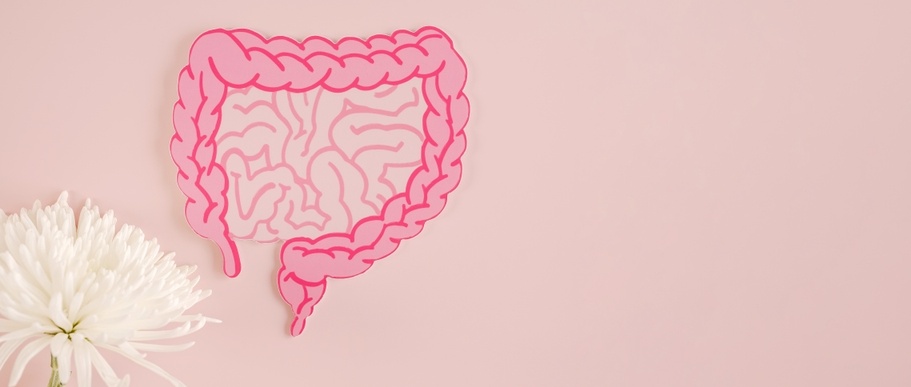 intestine shape with flower, healthy bowel digestion, leaky gut, probiotic and prebiotic for gut health, colon, gastric, stomach cancer
