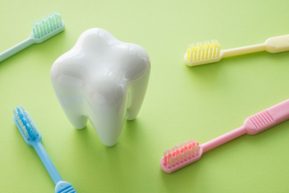 White tooth model surrounded by assorted coloured toothbrushes against a pale green background.