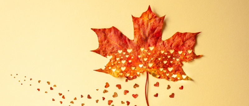 Preparing for the loss of a loved one: how to cope with anticipatory grief