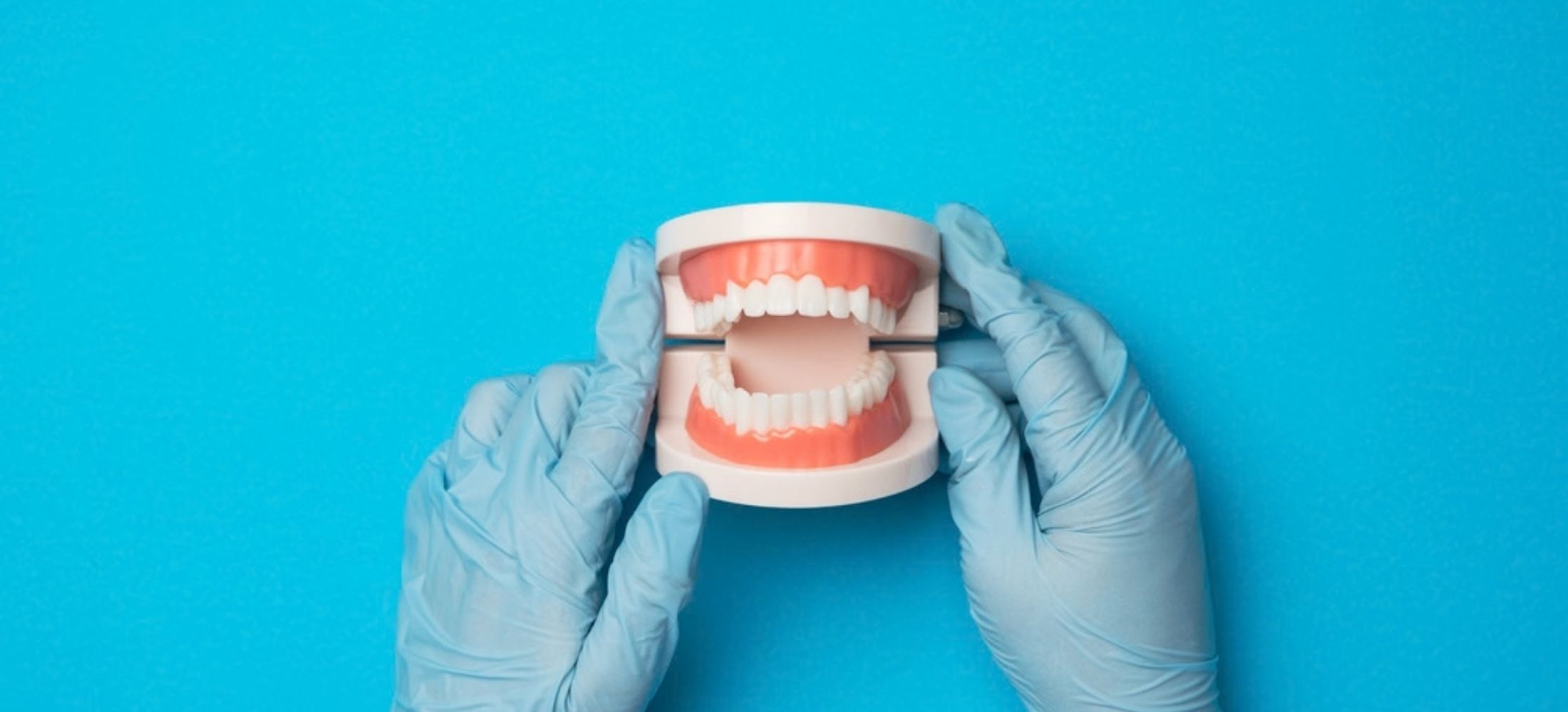 Plastic teeth model being handled by gloved hands against a blue background.