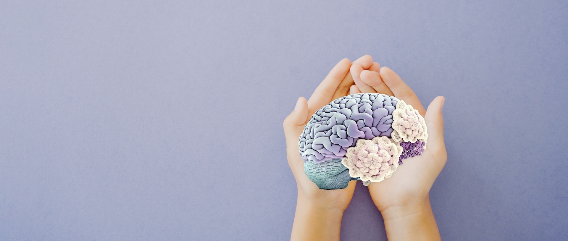 Hands gently holding a model of a human brain with purple and white details against a soft lavender background.