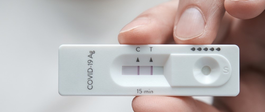 What we know about the new COVID-19 variants Eris and Pirola