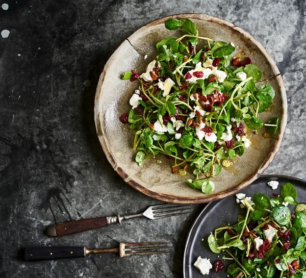 Goat's cheese, sunflower seed and cranberry salad