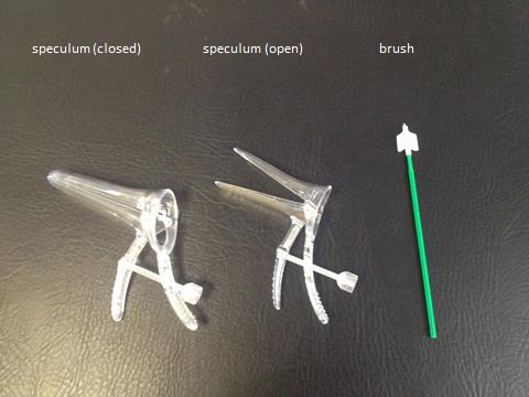 Vaginal speculum and cervical brush for cervical screening