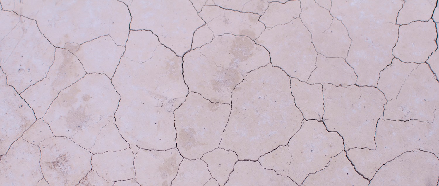 Smoking effects on skin: from ageing to illness