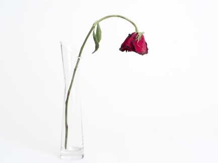 erectile dysfunction