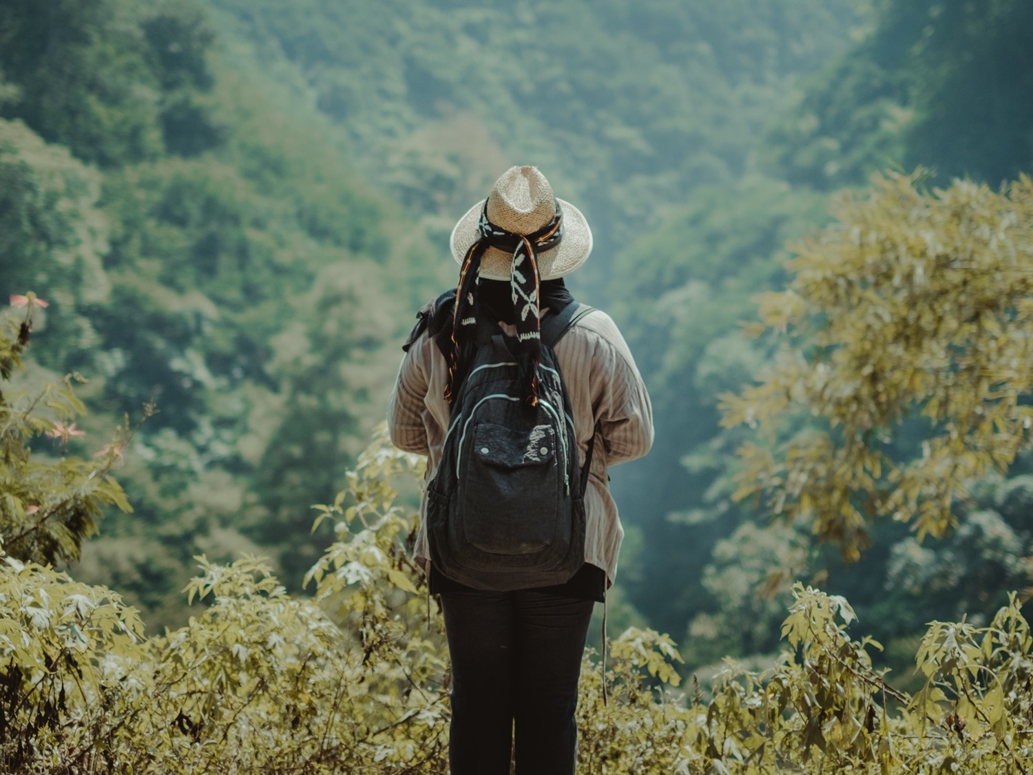 Typhoid and paratyphoid fever