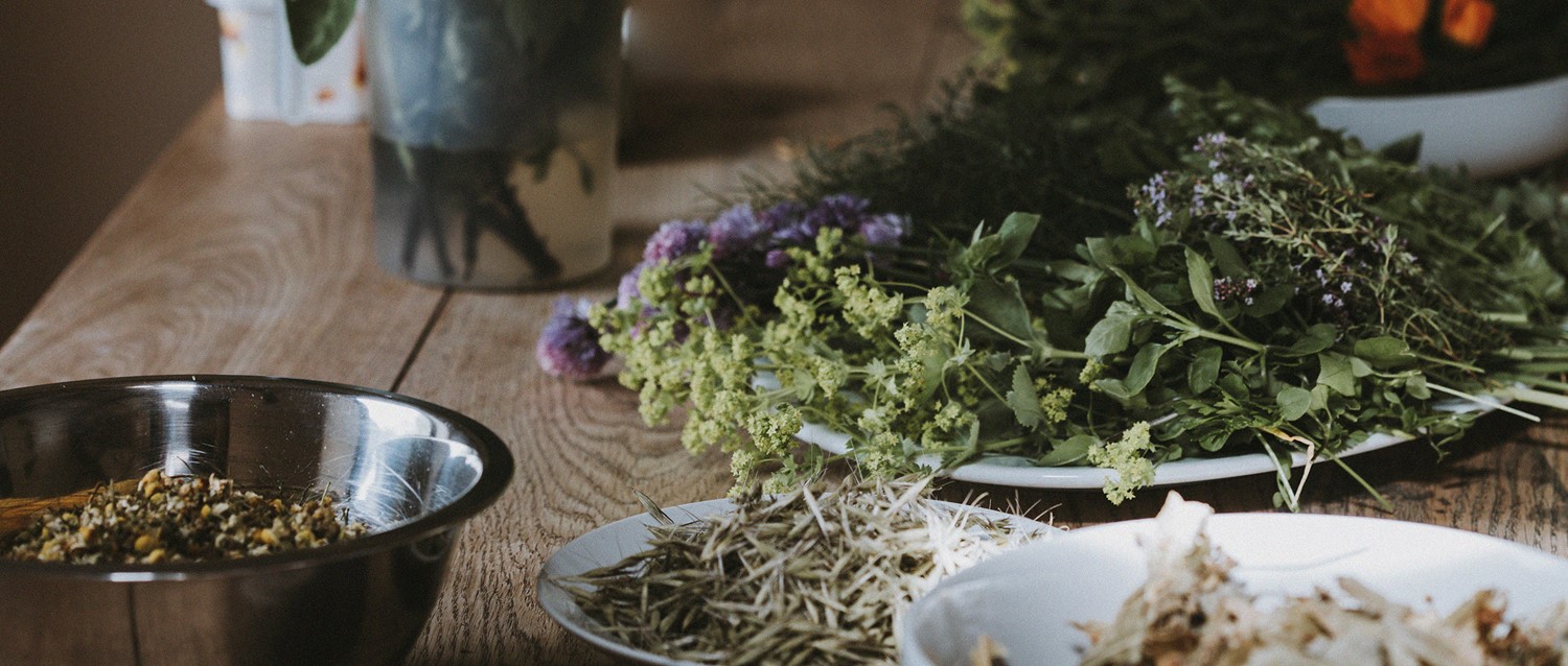 Does herbal medicine really work?