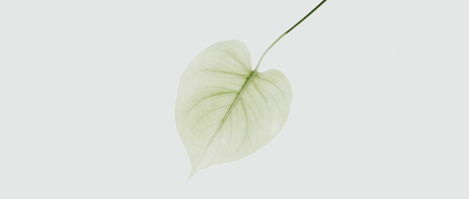 Gynaecological cancer