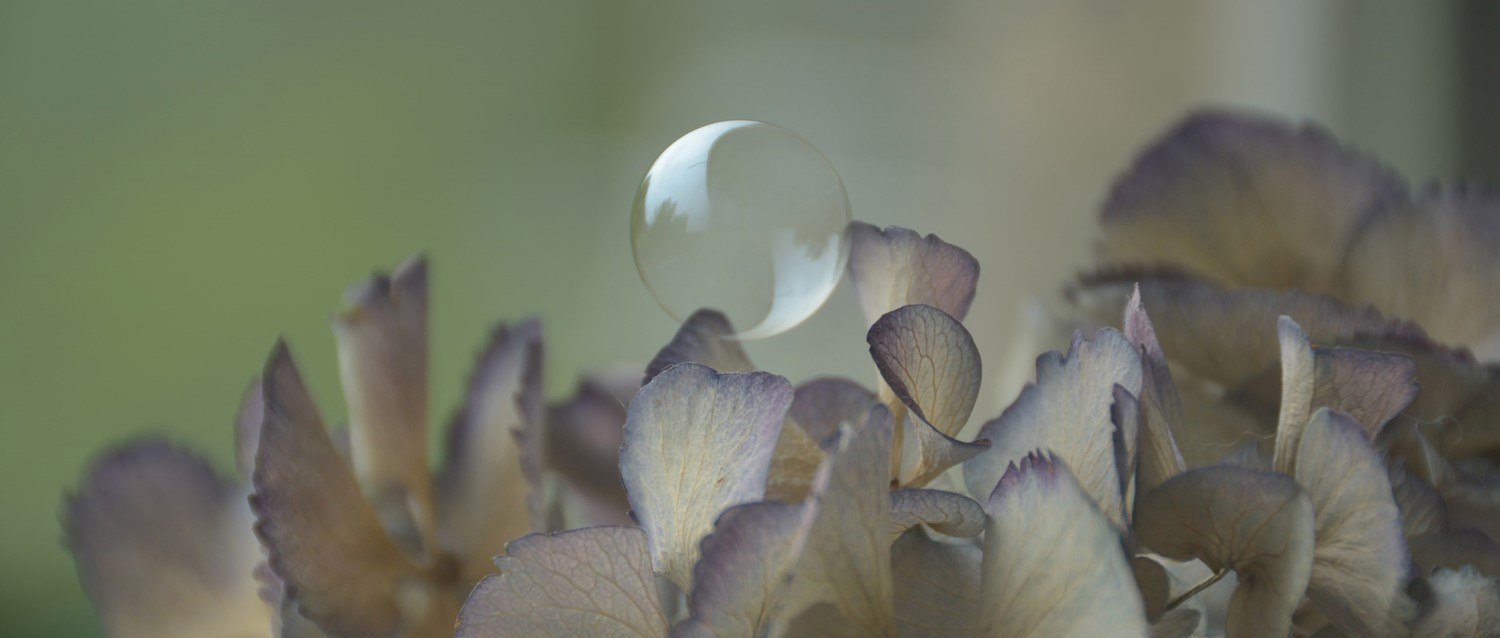 Will a UTI go away on its own?