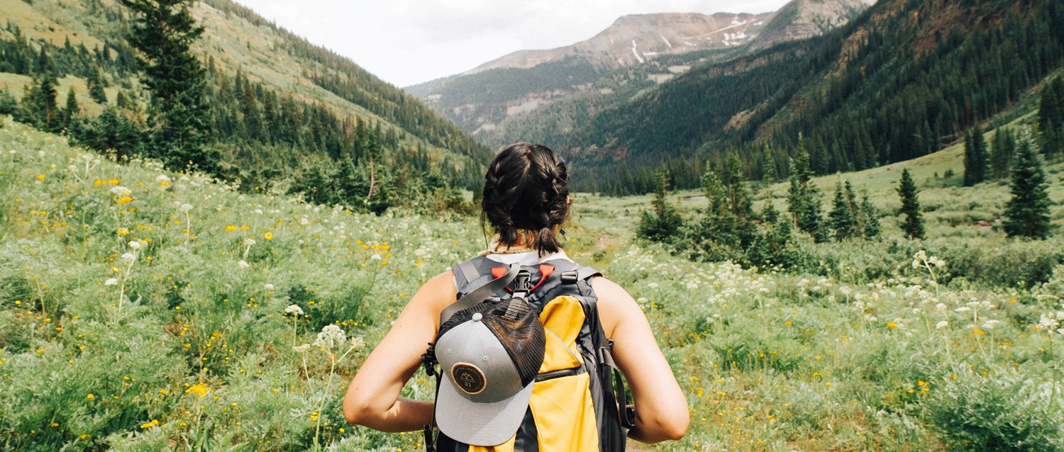 Hiker with backpack overlooking a mountain valley with wildflowers and pine trees under a bright summer sky.