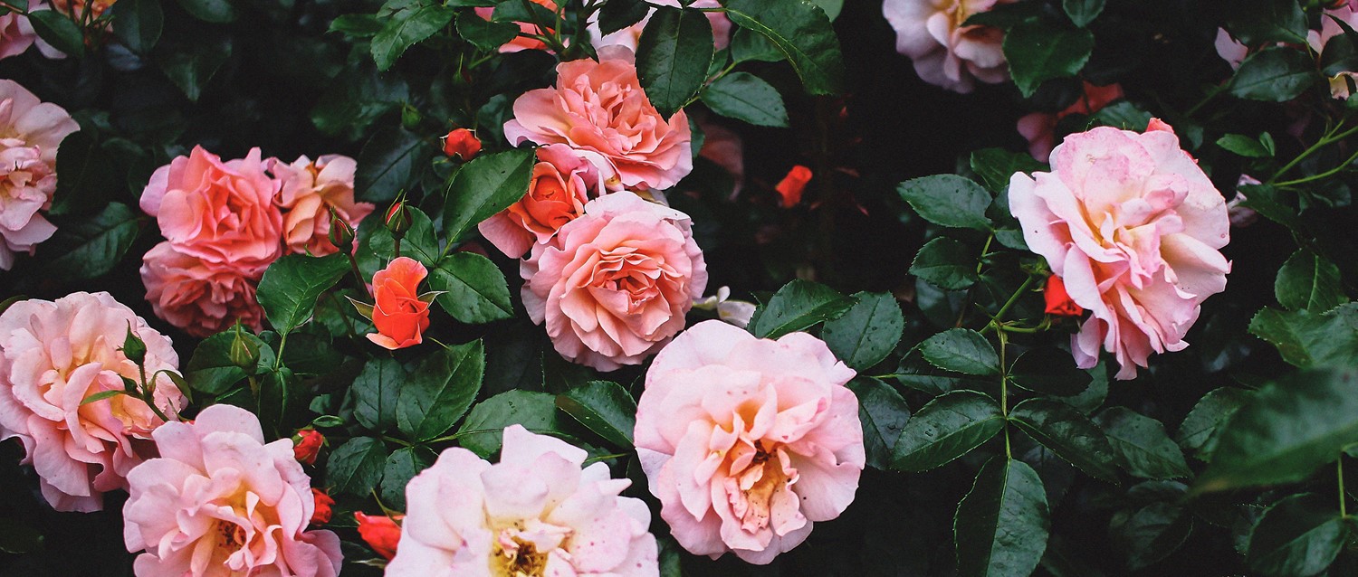 Are period blood clots normal?