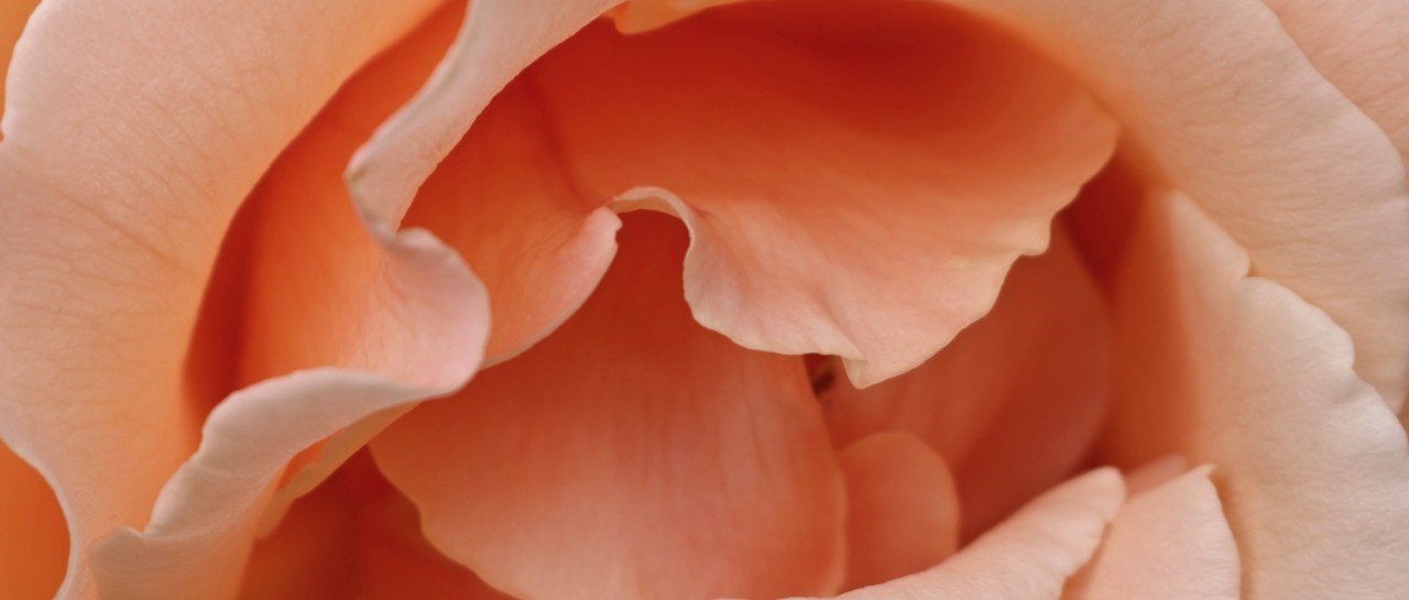 How to talk to your doctor about your vagina 