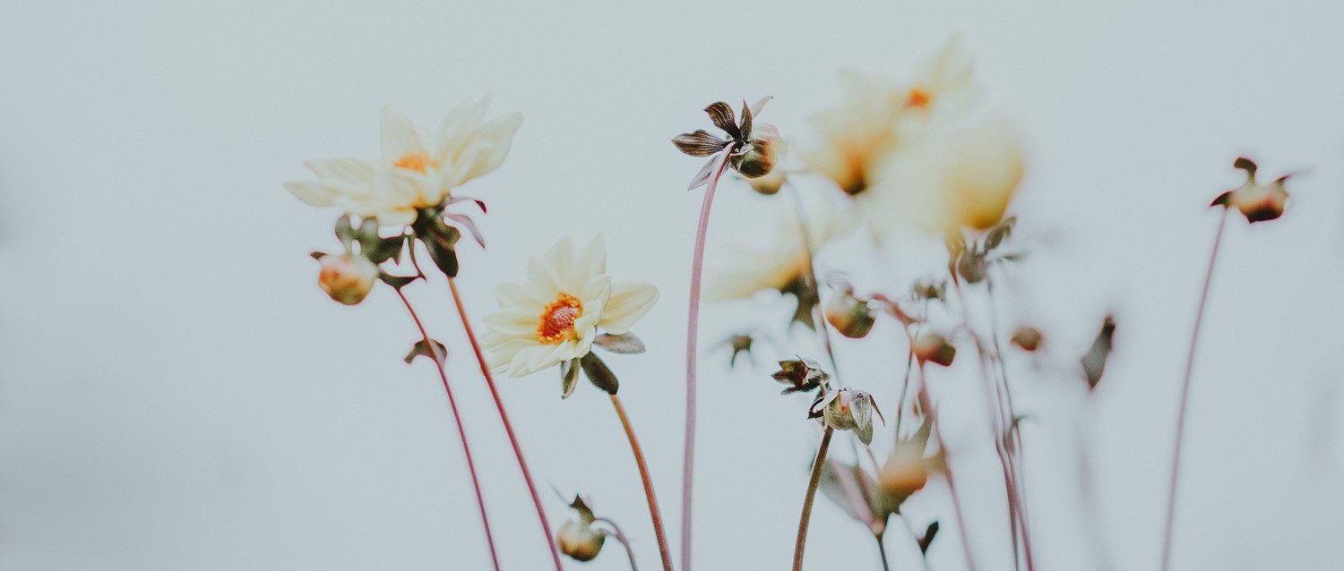 Can shaking exercises improve stress and PTSD?