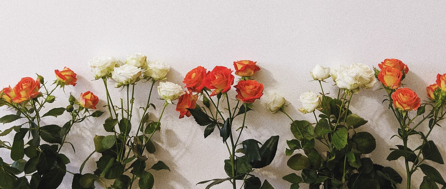 Coronavirus: how quickly do COVID-19 symptoms develop and how long do they last?