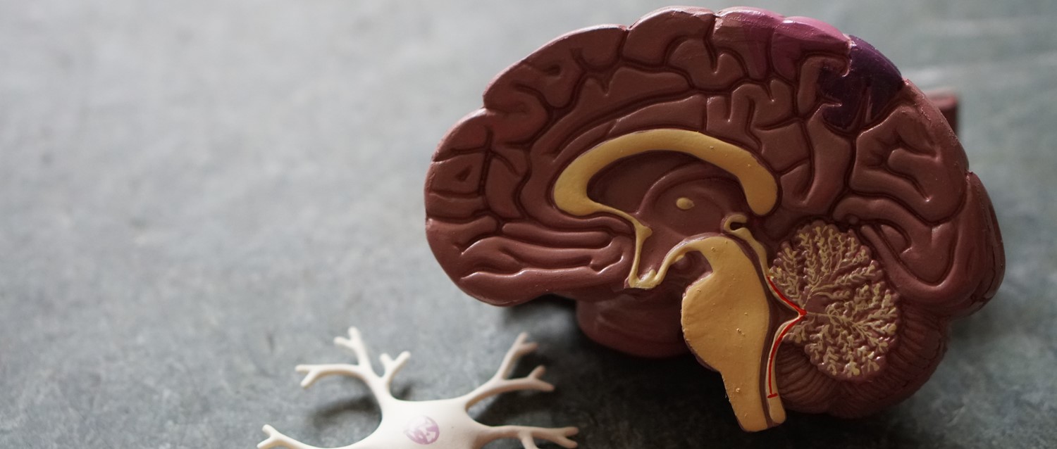 Are new treatments for MS on the horizon?