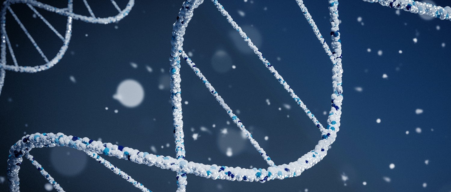 Is cardiomyopathy genetically inherited?