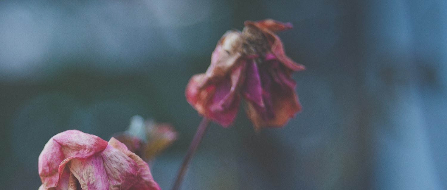 Miscarriage: why it's important to break the taboo