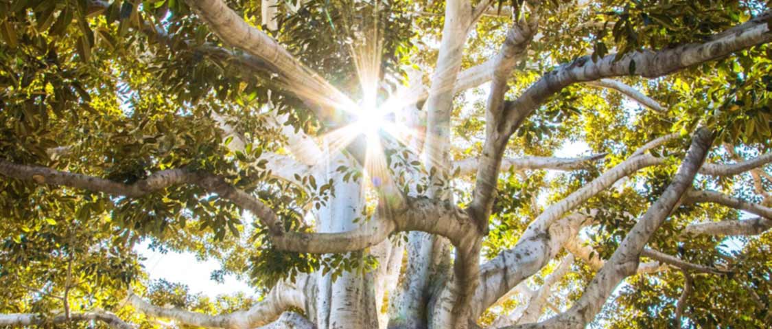 LGBTQI+: what are the barriers and challenges in end of life care?