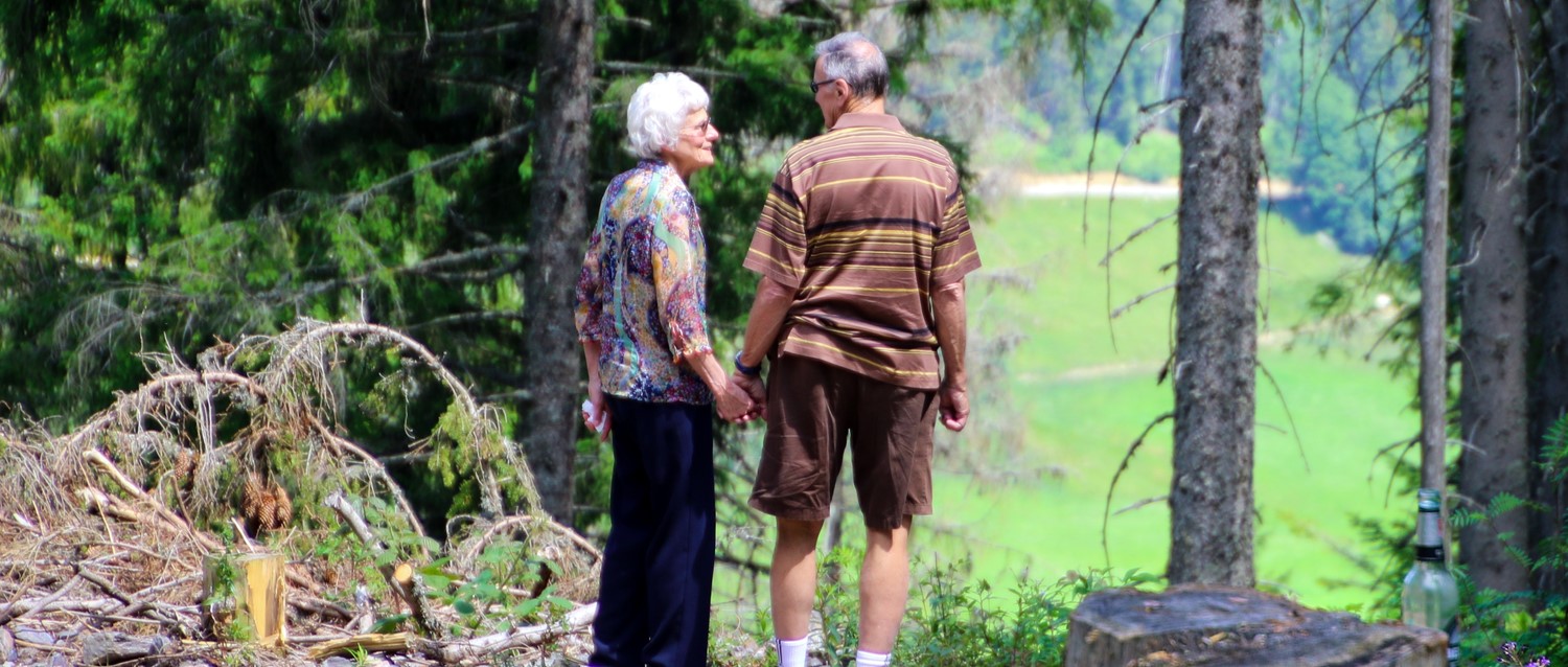 What is the link between Parkinson's disease and dementia?