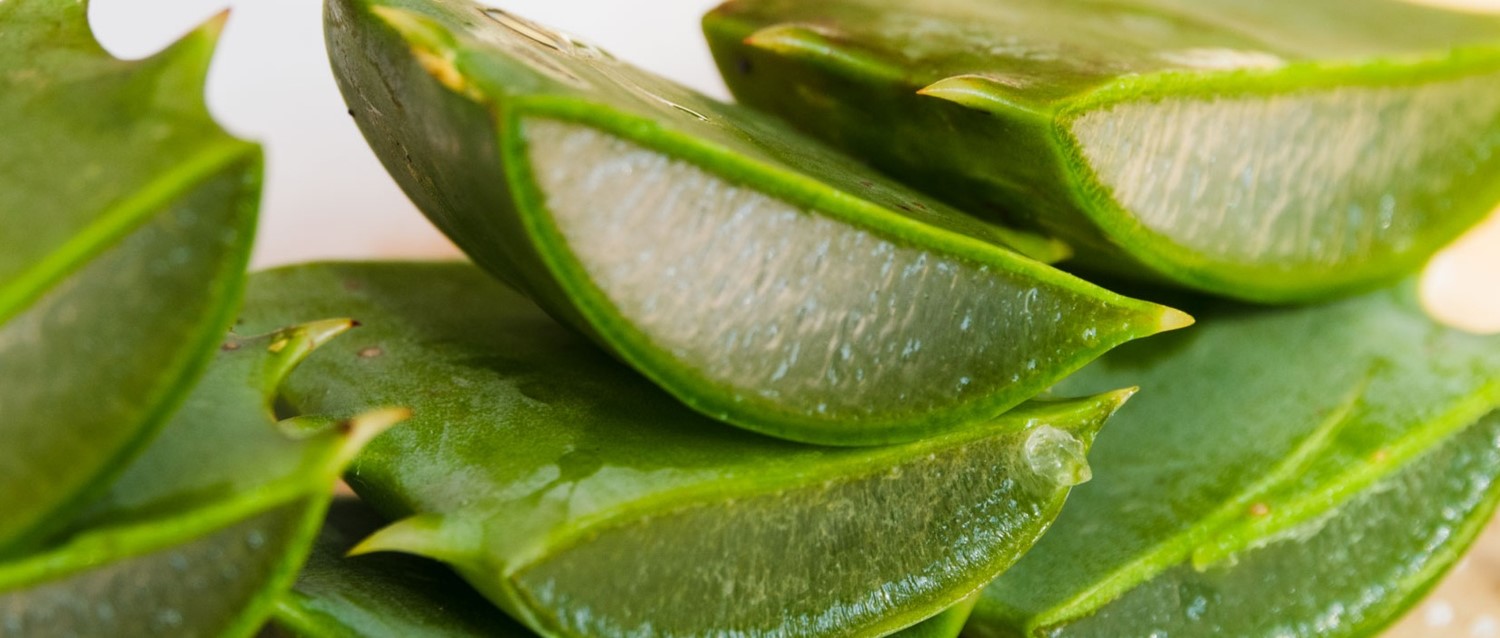 Does aloe vera juice really help with gut health?