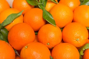 Orange Valencia