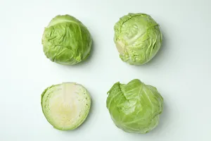 Cabbage White/Patha Gobi