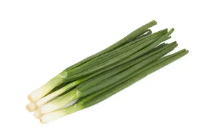 Onion Spring Green/Spring Onion