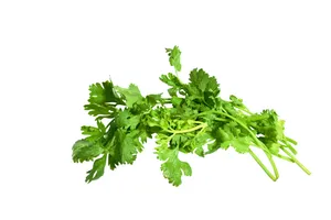 Parsley Whole Cleaned