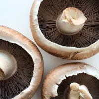 Portobello Mushroom Air Washed