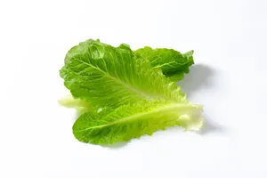 Romaine Lettuce Cleaned