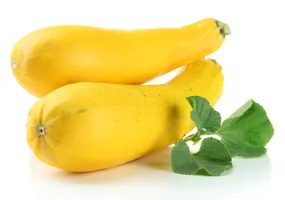 Zucchini Yellow/Cousa Squash