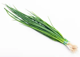 Chives Pkt
