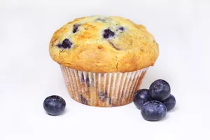 Blueberry Muffin