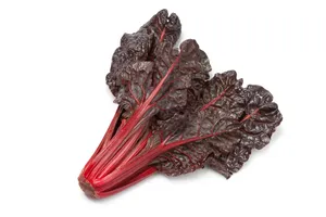 Chard Ruby Red