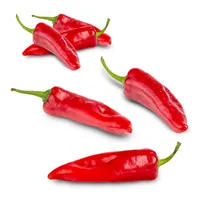 Chili Red Big